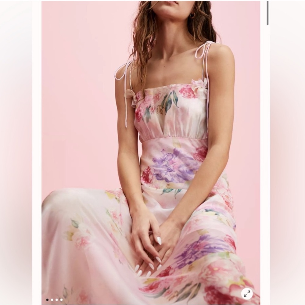 NWT For Love And Lemons Lisa Floral Organza Maxi Dress Size S